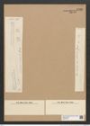 Clavicula sp. (de-Toni-Nr.: Genus 75, Species 2800 ?) Zeichnungen Sammlung Grunow Nr. 5758 (NHMW-BOT-W0374148)